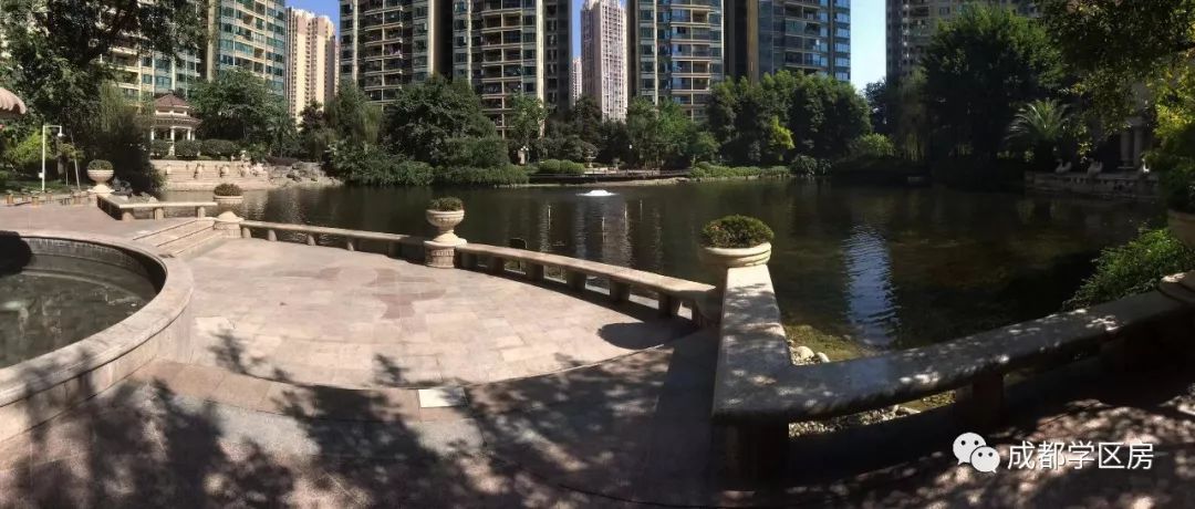 天府新区第五小学排名,天府新区a区学区房