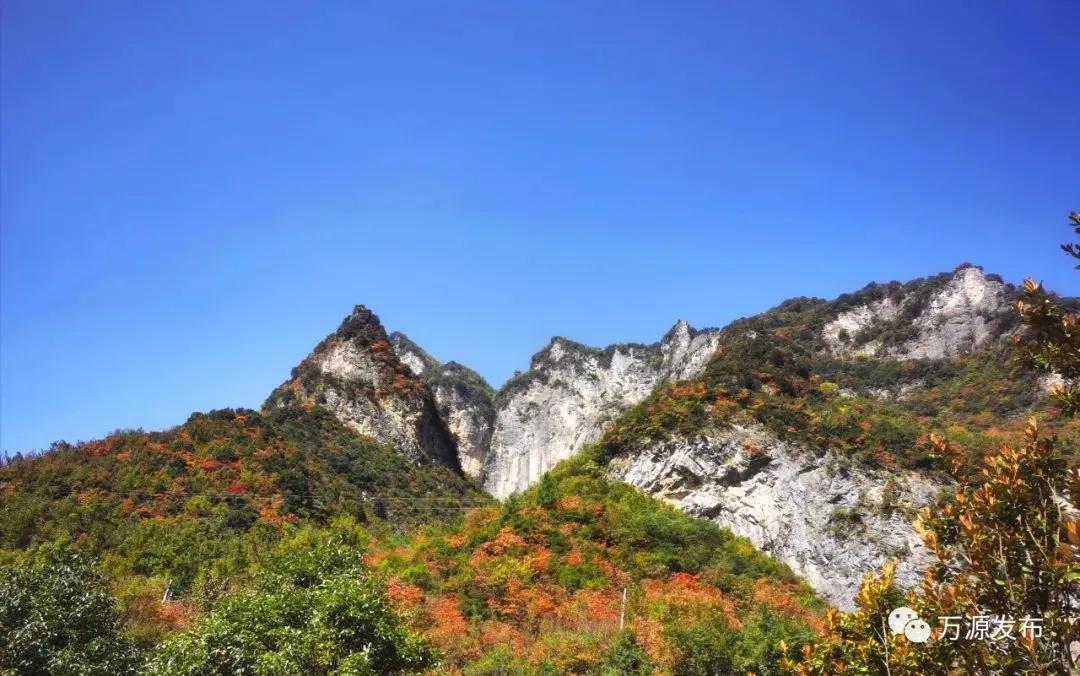 看万山红遍层林,看漫山红遍层林尽染国画