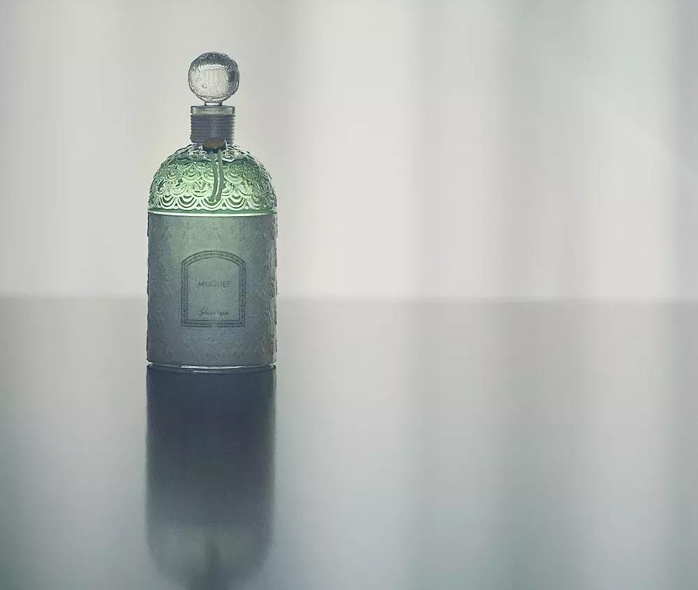 娇兰铃兰香水系列,娇兰铃兰香水哪一年的味道最好闻