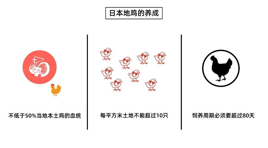 一只鸡获得了金蛋,一只鸡的最高荣誉