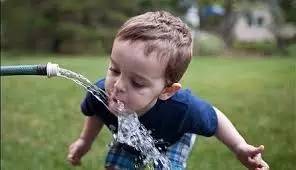 到了澳洲之后才知道的奇葩事,去了澳大利亚才知道的事