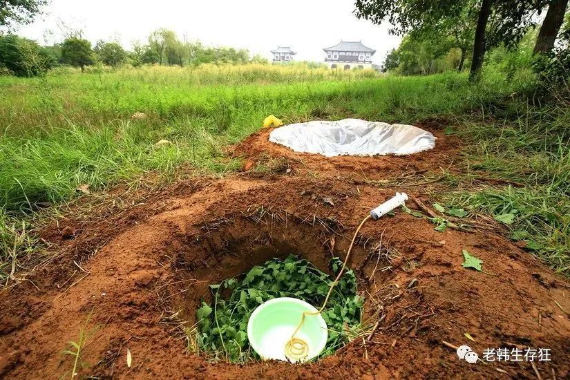 沙漠求生取水技巧,生存狂逃生技巧