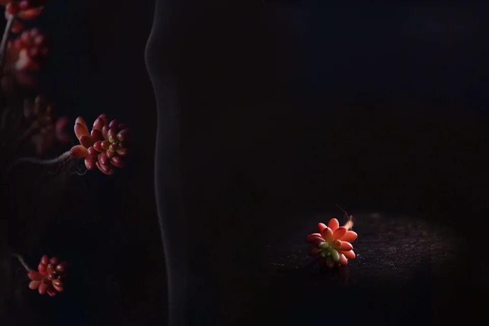 有所思全文,心有所思的美文