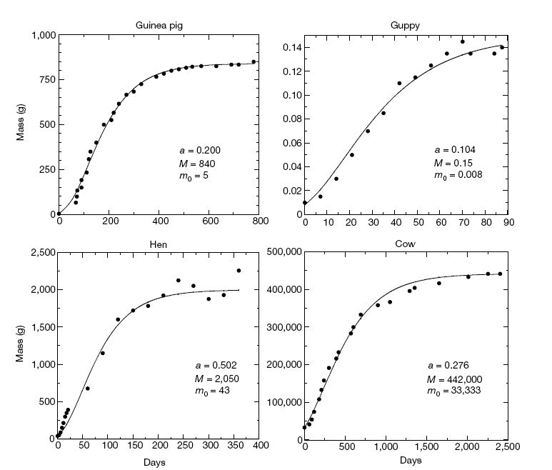 科学家找到6个神奇的数字,科学家找到6个神奇数字