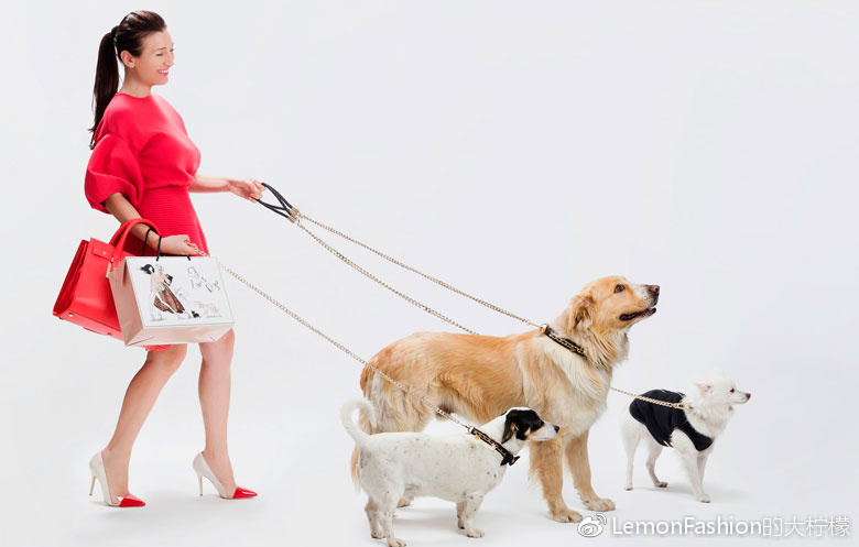 EF：名媛、女星、女高管们的寻寻觅觅