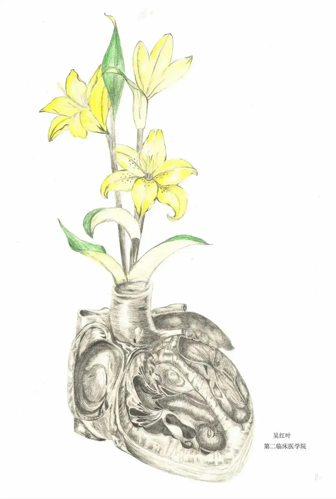 左手丹青,右手手术刀,985名校医学生笔记曝光!网友:这是学神级别的!