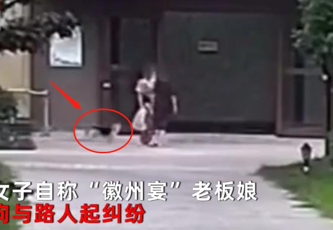 徽州宴老板娘的狗值多少钱,徽州宴老板娘到底养了多少条狗