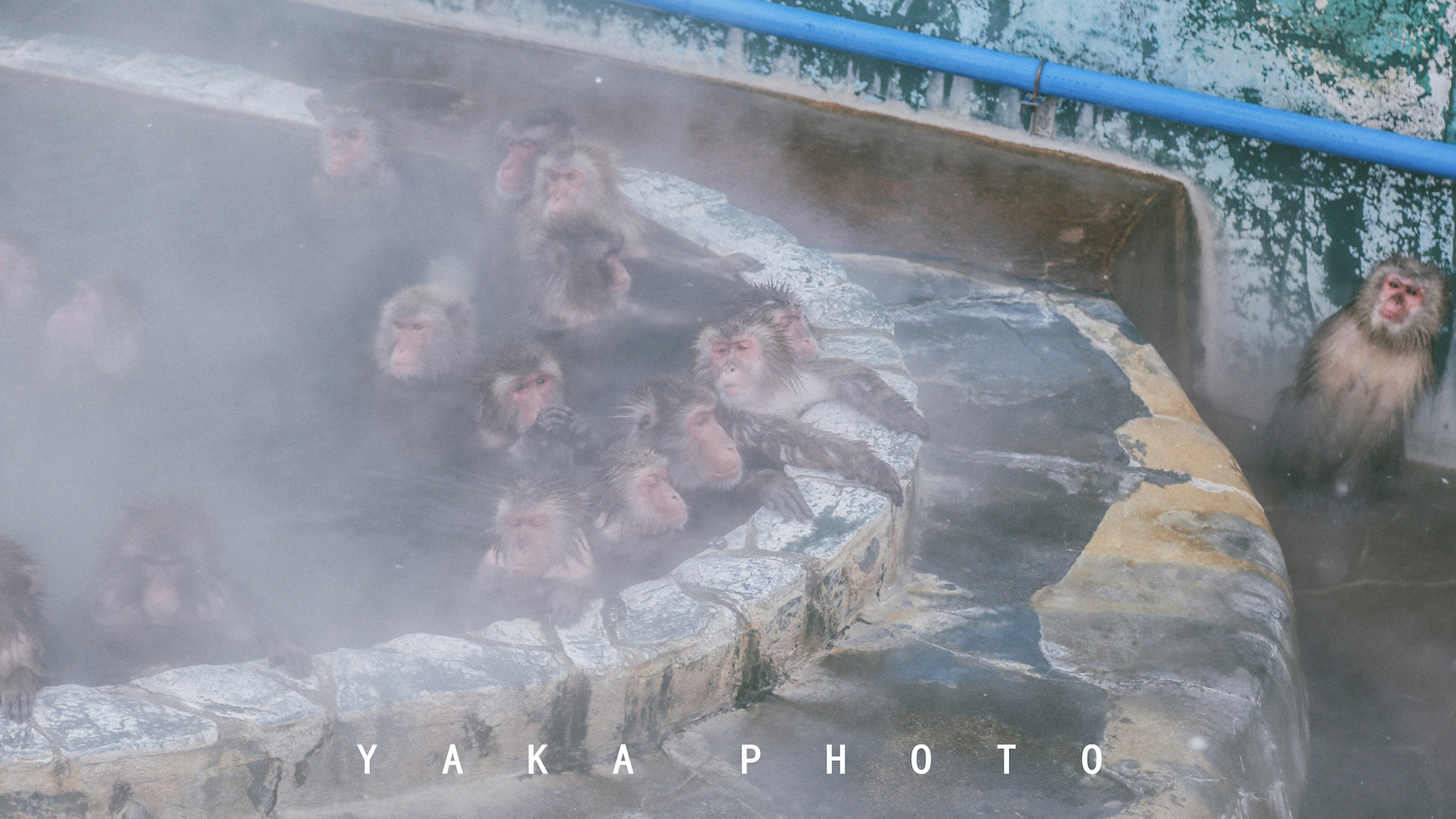 北海道函馆攻略一日游,12月北海道函馆有什么推荐