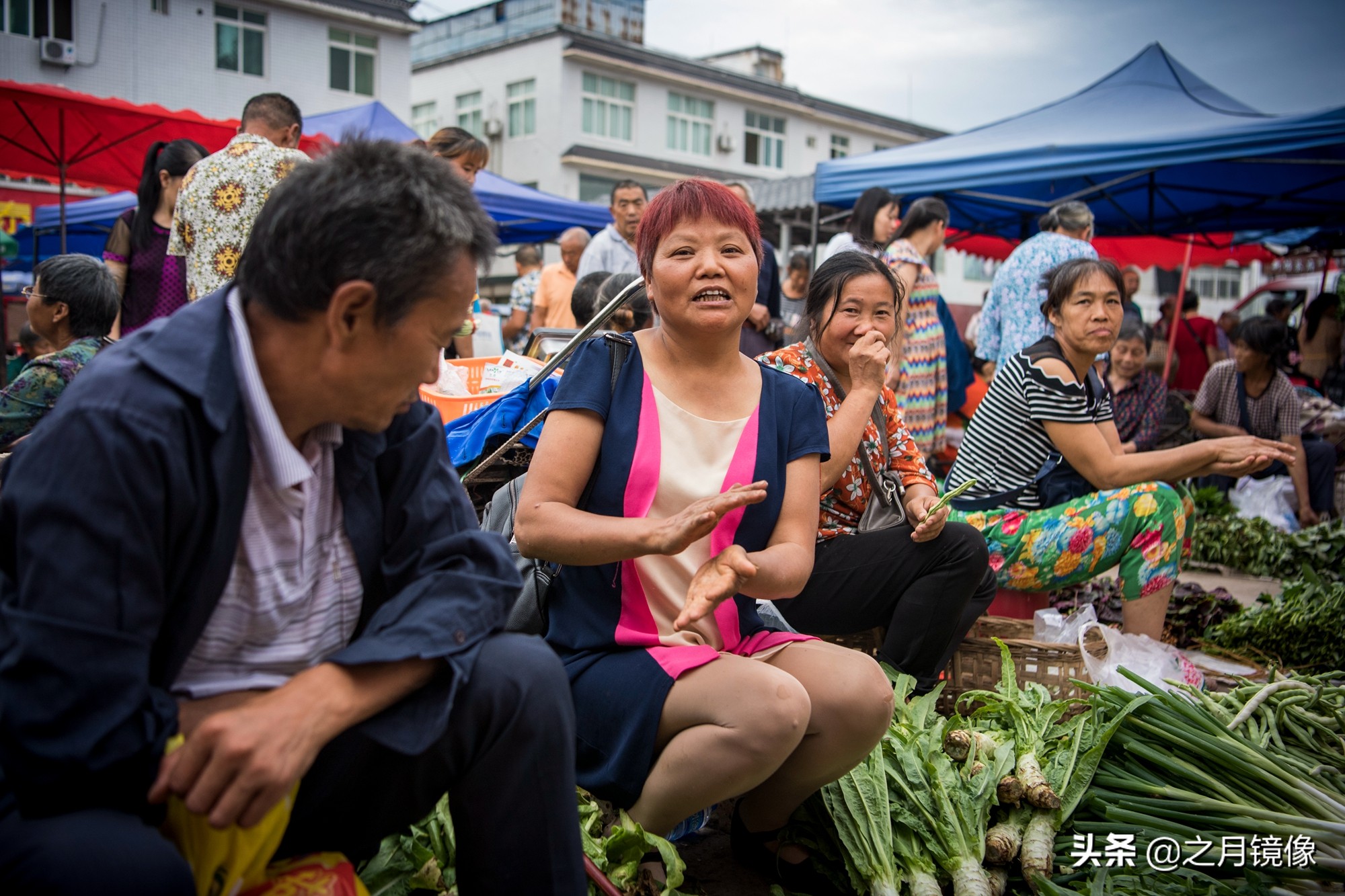 天府新区太平枇杷,成都太平枇杷批发市场