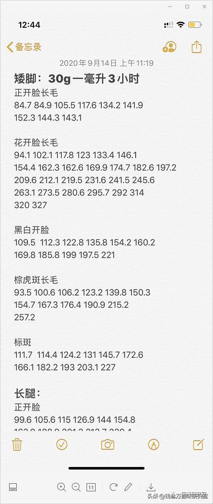 刚生的小猫母猫不在如何照顾,早产没长毛的小猫怎么救活