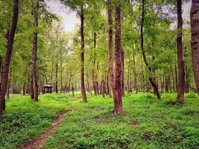 中国最美的海岸线霞浦,霞浦旅游之美