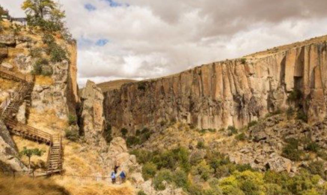 土耳其新币特征 (2017年土耳其币图片)