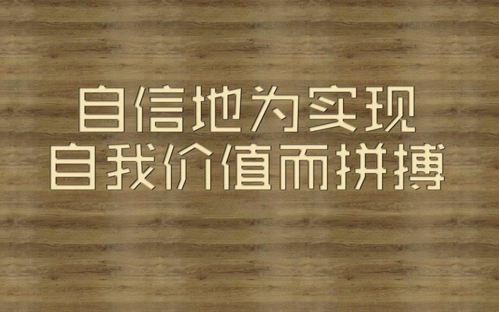进私企的利与弊,私企的优势和缺点