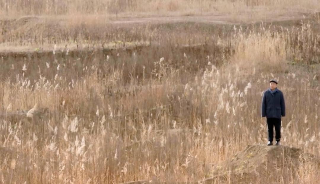 莫言最近现状,莫言现在怎么样了