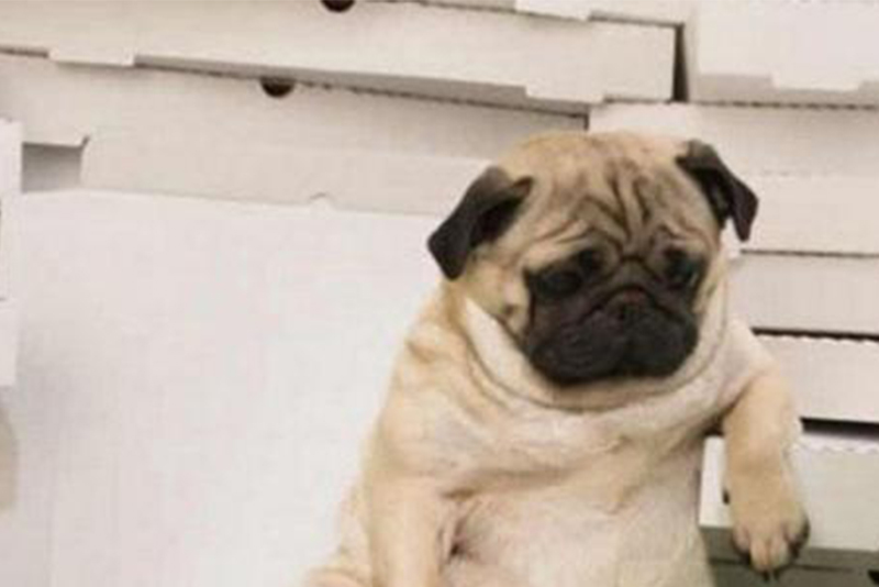 分手后想挽回第三者该怎么办,分手后想挽回前任太决绝怎么办