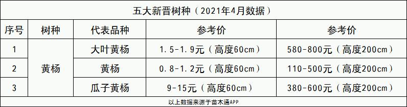 「内部泄密」最近一个月成交量最高的十大树种排行榜