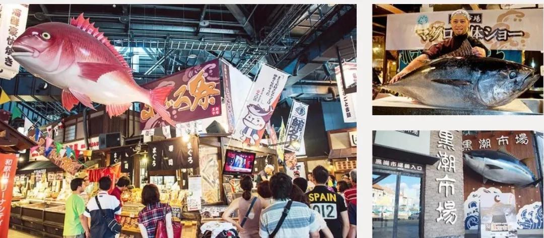 日本最好看的铁路,日本为什么热衷于东南亚铁路