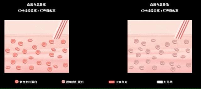 全天监测心率血氧手表有用吗,苹果s7手表血氧监测怎么使用