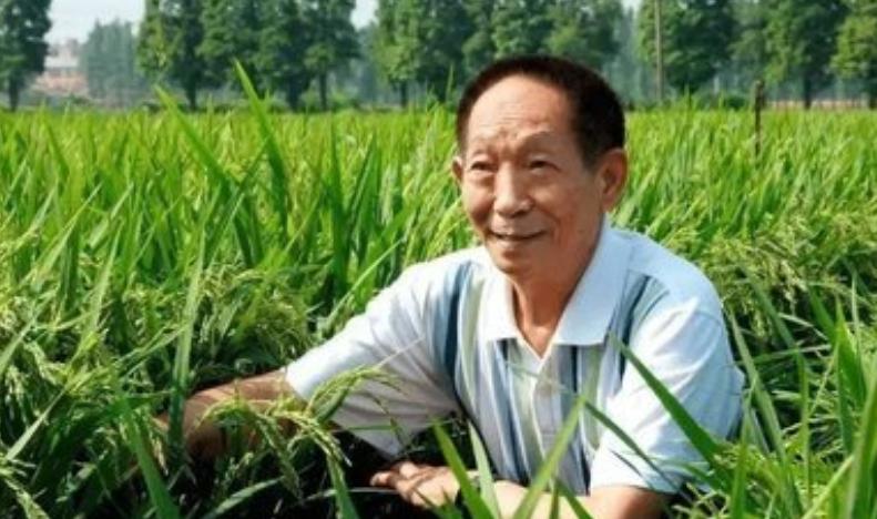 袁隆平爷爷最感人的评论,老一辈人对袁隆平的感情
