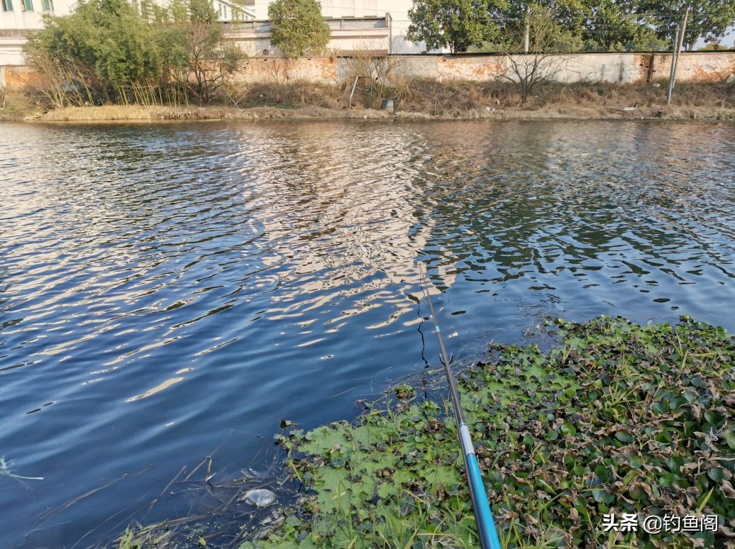 小漂好用还是大漂好用,大漂灵敏还是小漂灵敏