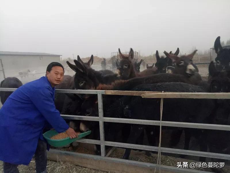 大学生李梦杰的创业记!第一集(原创)