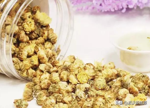 菊花烘干机家庭用,菊花烘干机视频大全