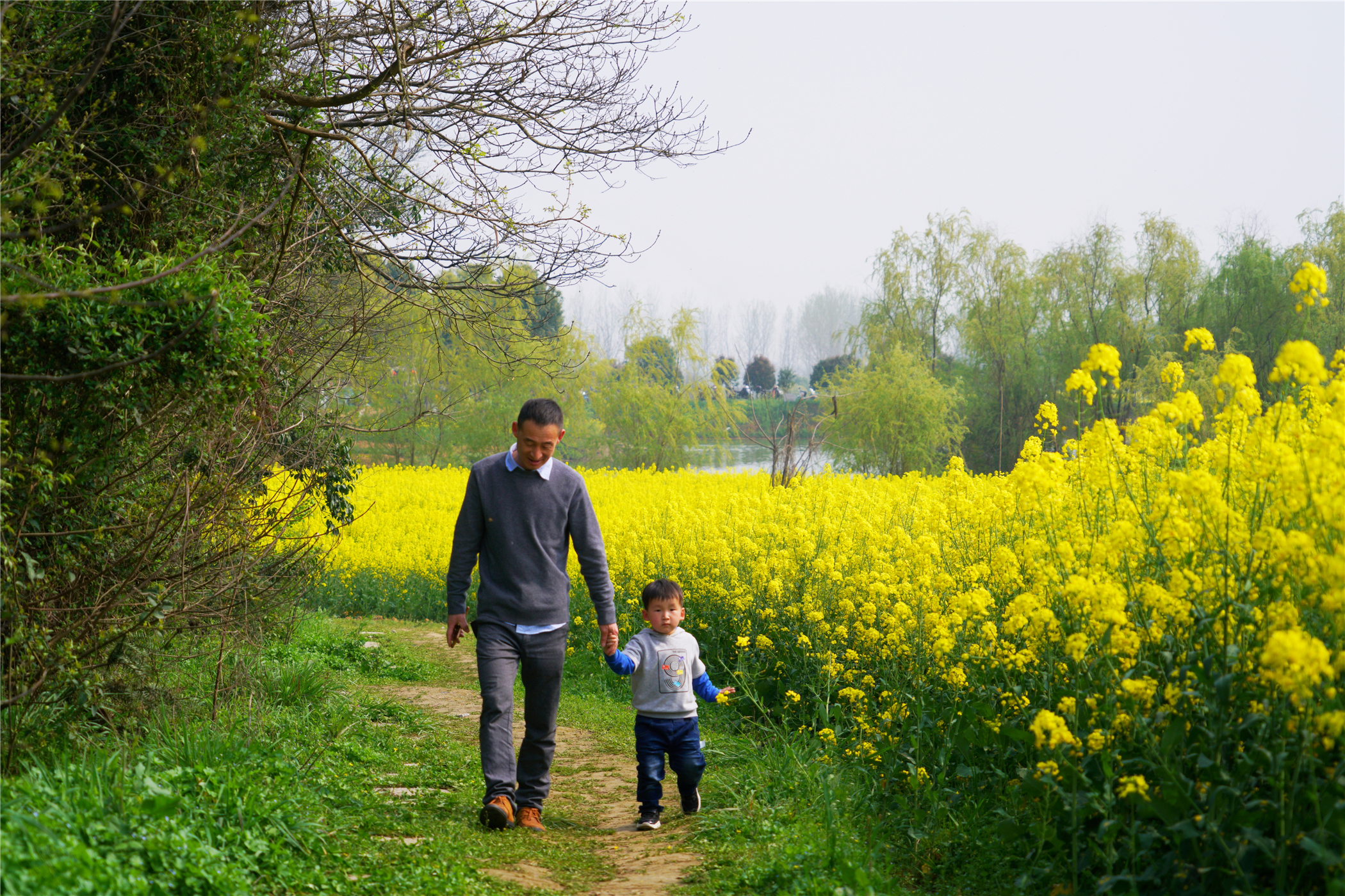中国第一慢城高淳桠溪,南京高淳桠溪慢城
