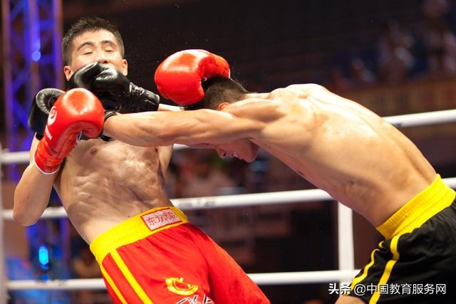 武术的技击原理,对武术技击实战的认识