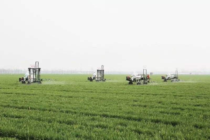 农业托管知识,托管农业是主流方向