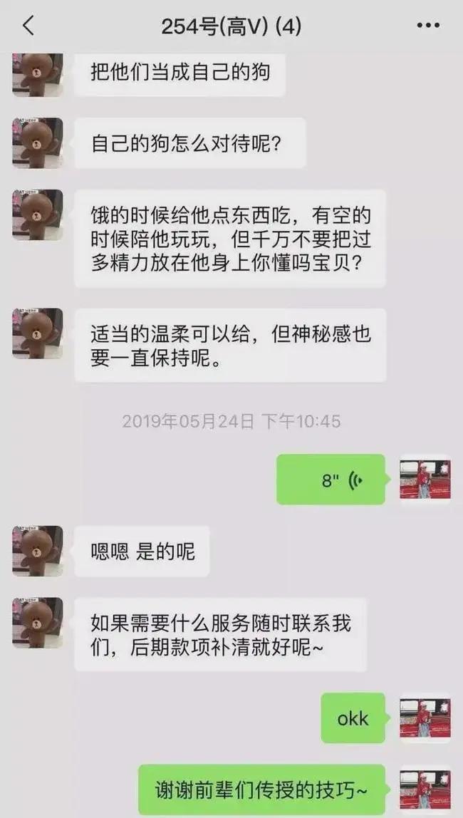 活久见2,活久见上海