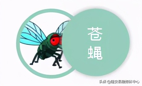 注意！隆安县城各区域除“四害”开始啦