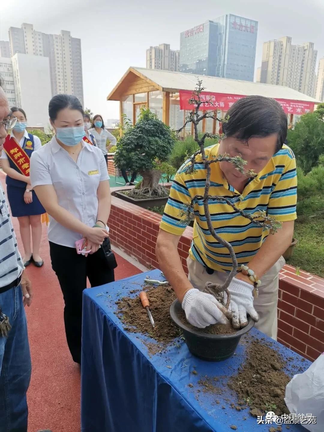 涓浗钁楀悕鐩嗘櫙澶у笀绮惧搧鐩嗘櫙,鐩嗘櫙鑹烘湳瀹跺拰鐩嗘櫙鑹烘湳澶у笀