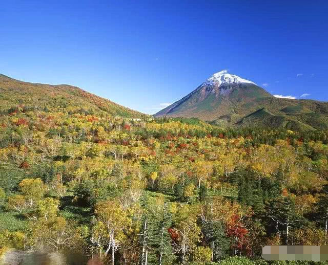 日本北海道岛版图,日本北海道的面积