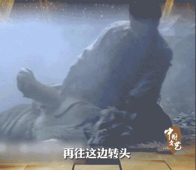 98版水浒传武松精彩瞬间,98版水浒传中武松打虎的视频