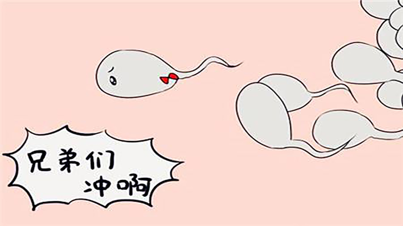 没有受孕的小蝌蚪去哪了,没有受孕的小蝌蚪去了哪里