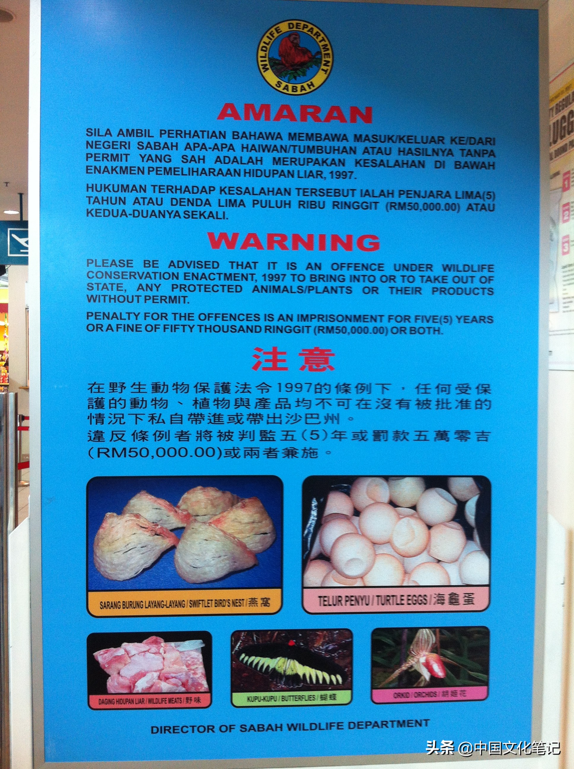 去沙巴大学和水上清真寺,沙巴水上清真寺自由行热门攻略