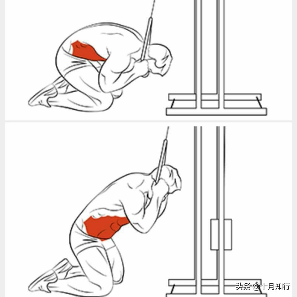 高强度腹肌训练，8个动作全面虐腹，帮你紧致腰腹，练出结实腹肌