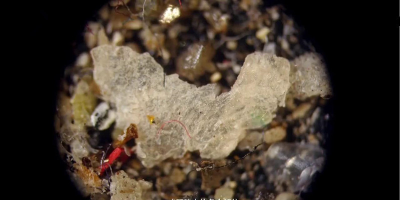 家庭除螨虫最好的神器,家里除螨虫最好的神器