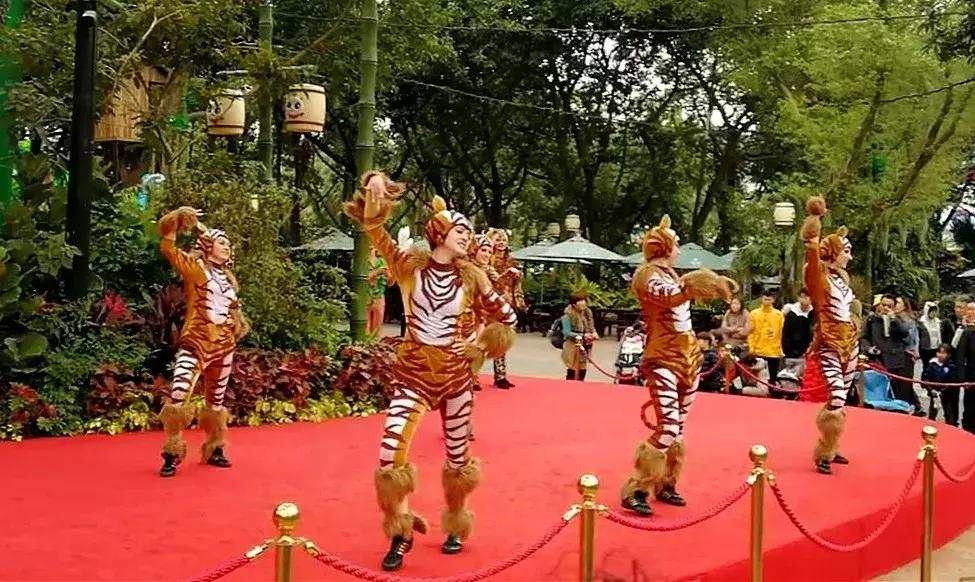 去广州长隆动物园怎么玩划算,广州长隆动物园一天最全游玩攻略