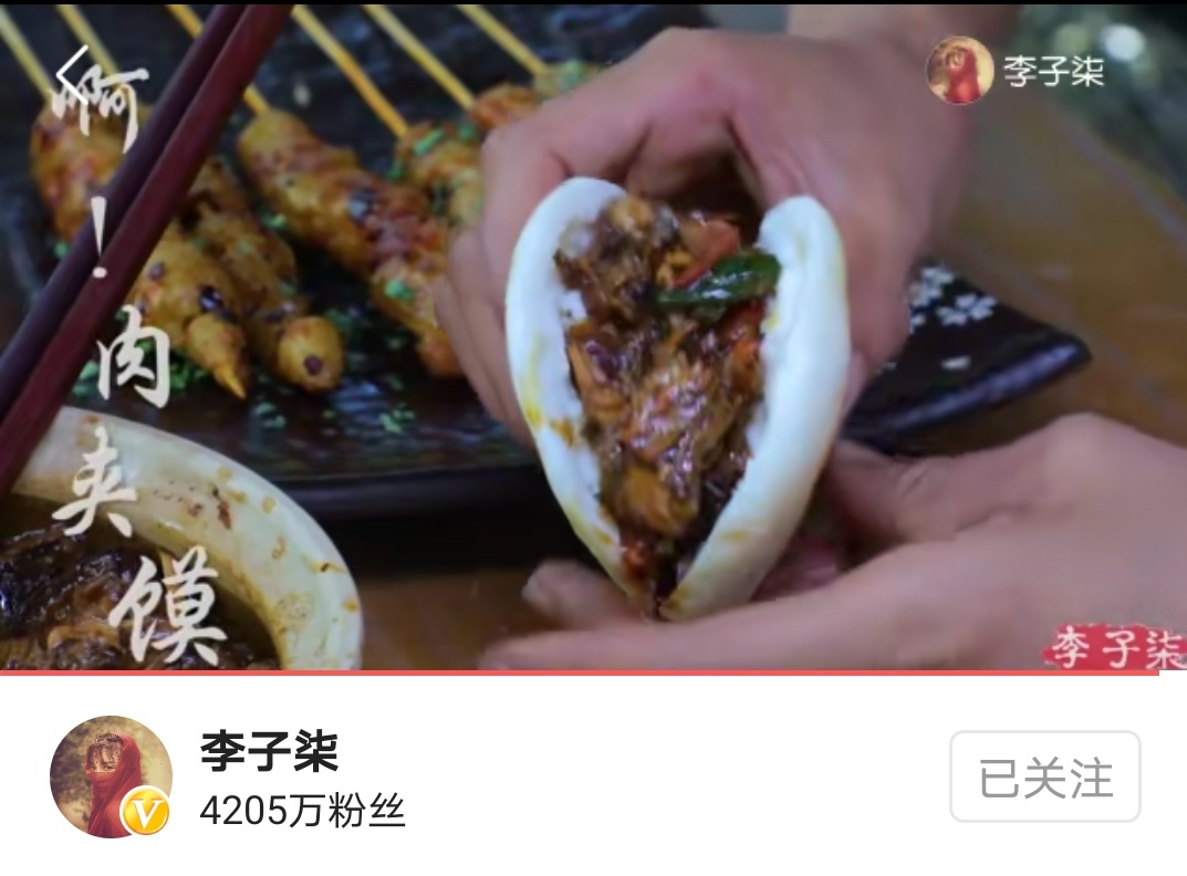 李子柒麦子的一生的播放量,李子柒麦子的生长过程