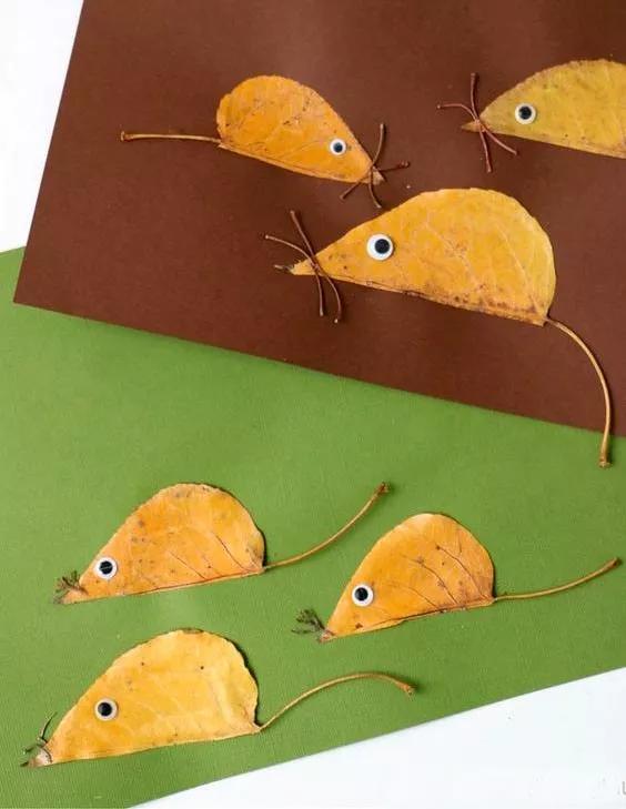 有多少种各种各样的小动物呢,用落叶做可爱的小动物