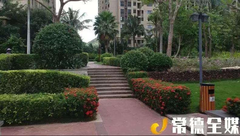 在海南发家的企业家,在海南工作的湖南人