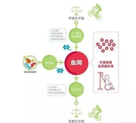 同型半胱氨酸高吃什么药可以降,同型半胱氨酸升高需警惕5种疾病