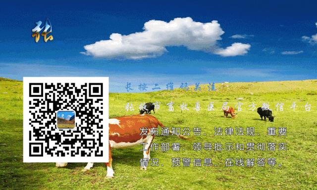 张掖七彩丹霞门票对老人优惠,张掖七彩丹霞旅游景区门票