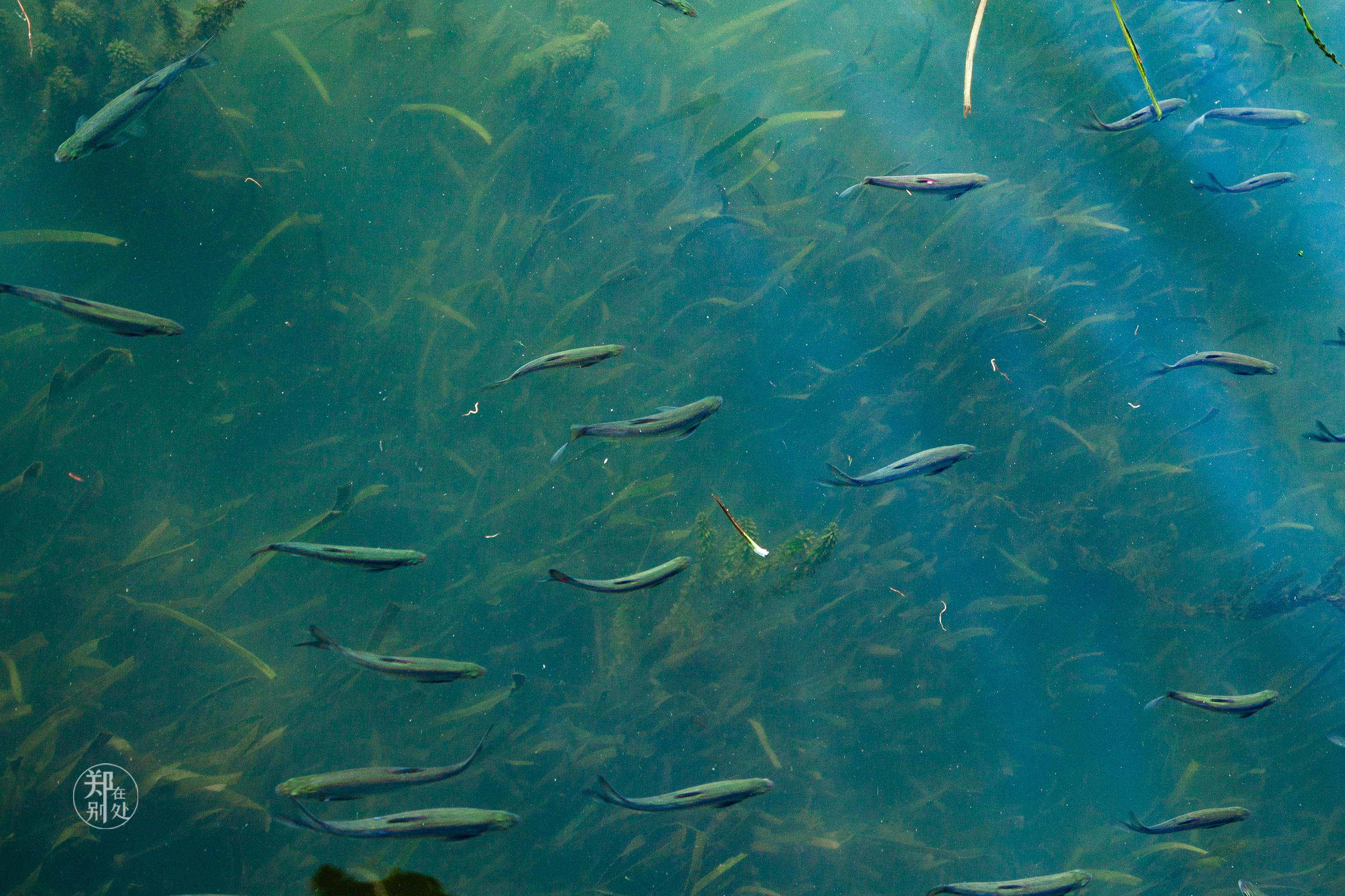 坐公交游杭州几路最好,杭州87路公交沿路风景