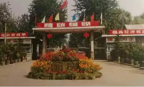 棉五老照片,棉五回忆