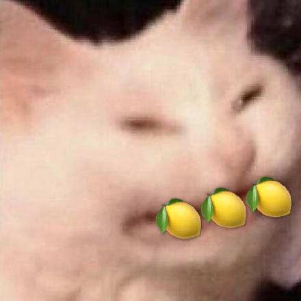 被柠檬酸到的表情包,柠檬酸酸的表情包