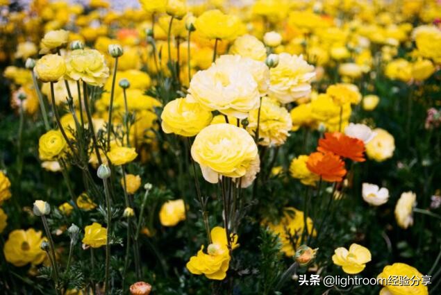 摄影的自然光线选择,摄影风景光线的基础知识