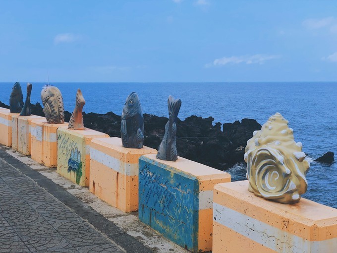 韩国考驾照流程视频,韩国考驾照最简单的方法