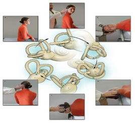 爱耳日科普视频幼儿,耳眩晕科普第一讲